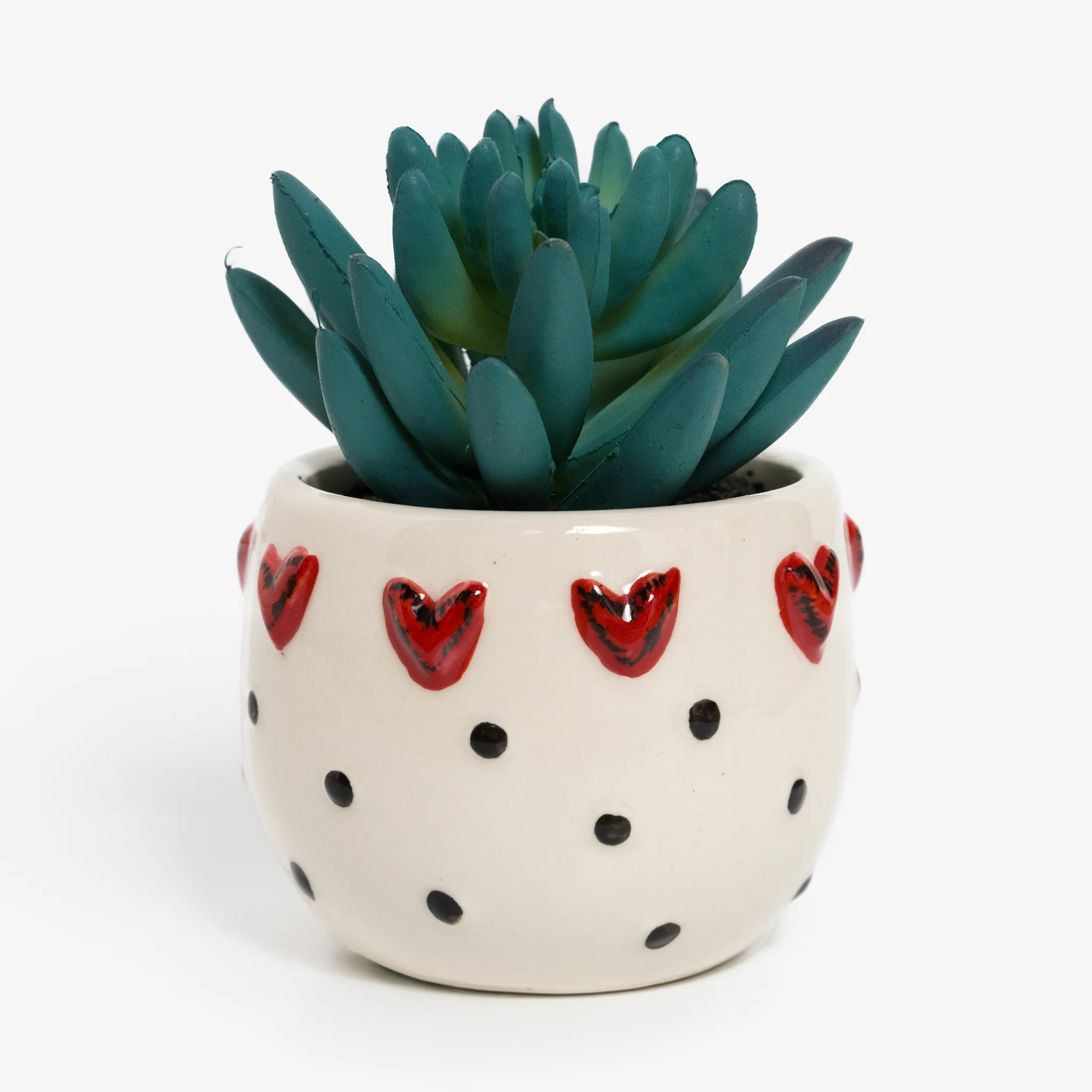 Mini Succulent Pot by Tracy Peche