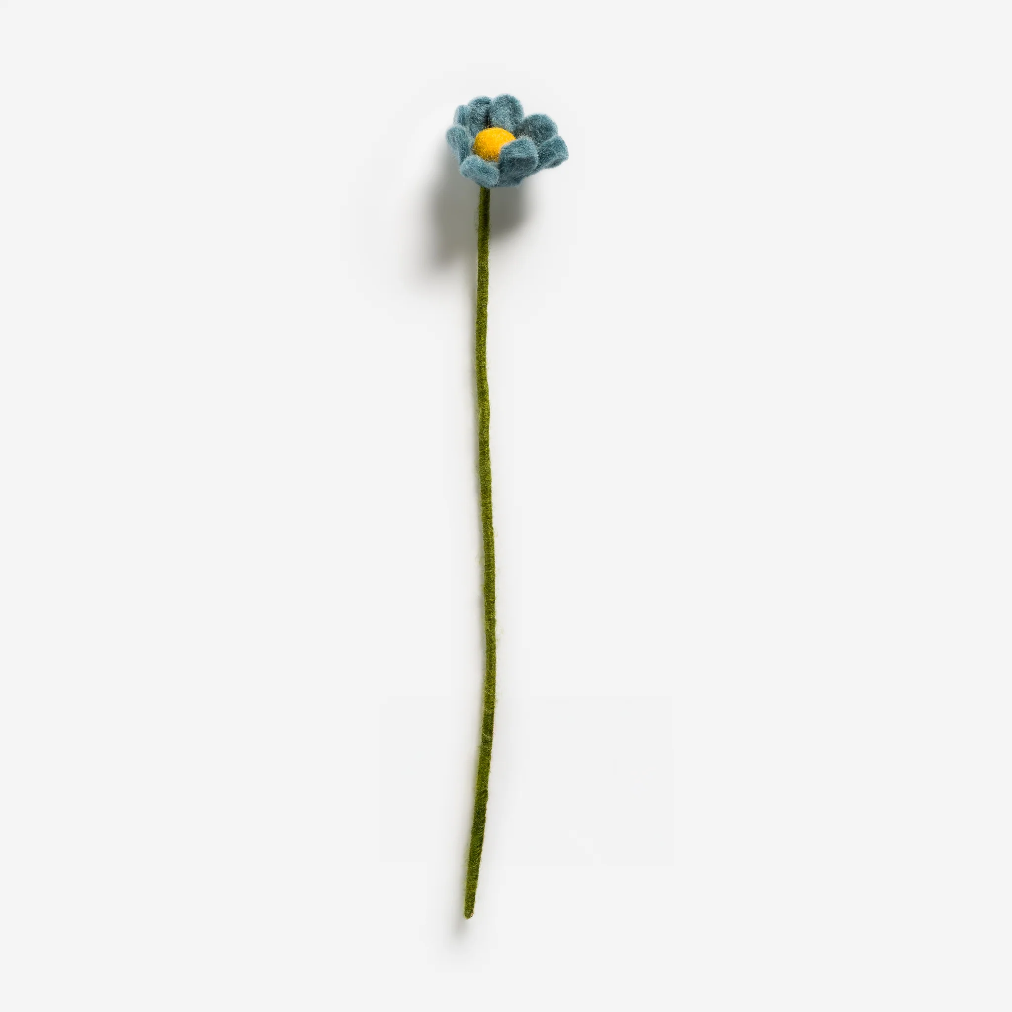 Anemone – Sea Blue