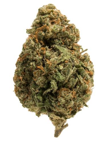 .38 Special Clone