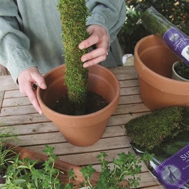 SuperMoss® Natural Moss Pole – 3ft