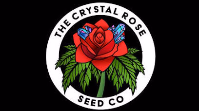 Crystal Rose – Tropicanna Pie Eyed