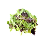 Lettuce – Mesclun Mix Greens Seed Pack