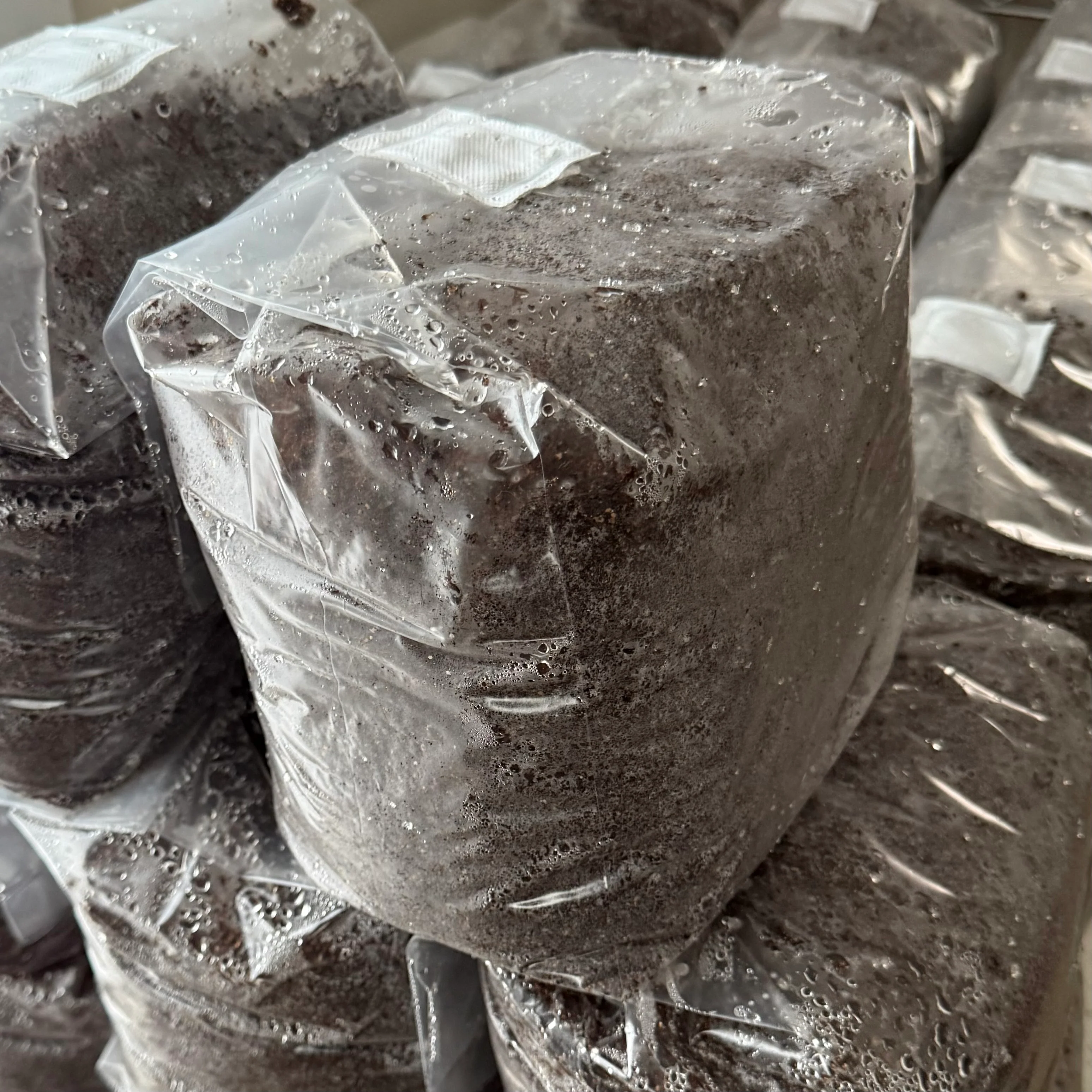 Mass Mycology CVG (Coco,Vermiculite,Gypsum) Pasteurized Substrate