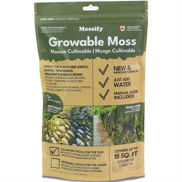 Mossify® Growable Moss – For Shade