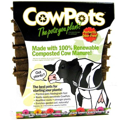 Summit Cow Pot #3 Square 12ct