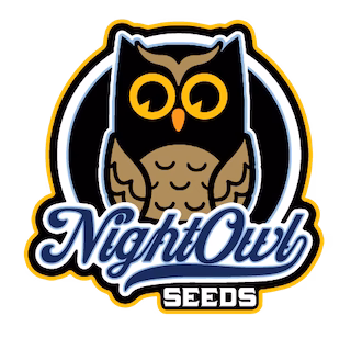 Night Owl – Sour Jewels Auto