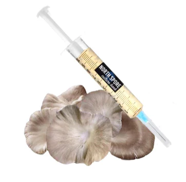 Italian Oyster LC Syringe