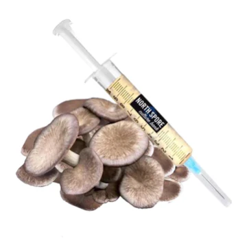 Black King LC Syringe
