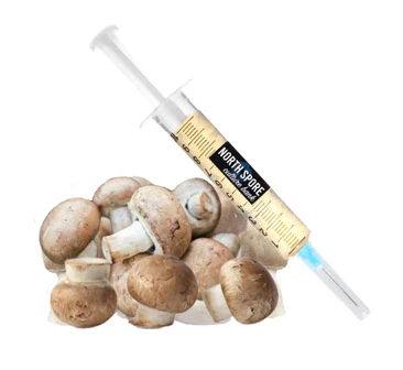 Almond Agaricus LC Syringe