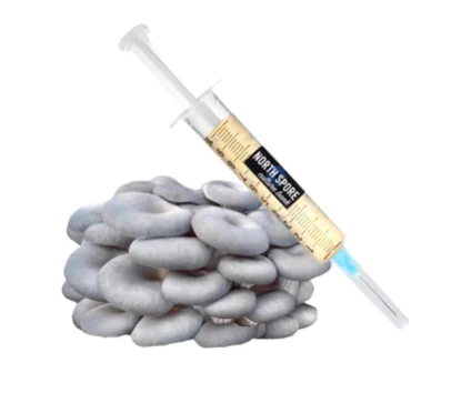 Blue Oyster LC Syringe