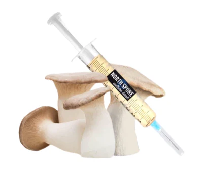 King Trumpet LC Syringe