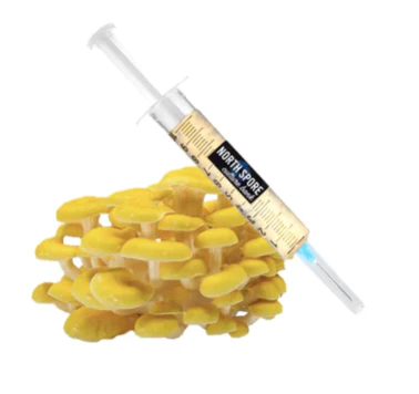 Golden Oyster LC Syringe