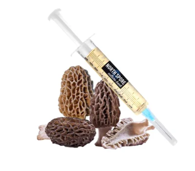 Morel LC Syringe