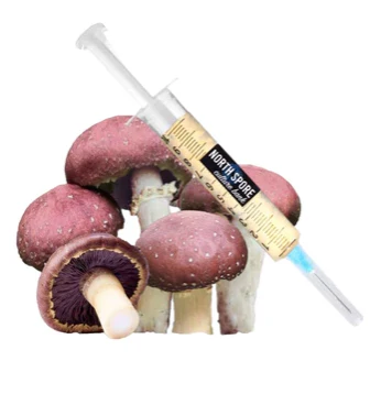Wine Cap LC Syringe
