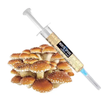 Chestnut LC Syringe