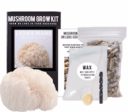 Organic Lion’s Mane Mushroom Outdoor Log Growing Kit