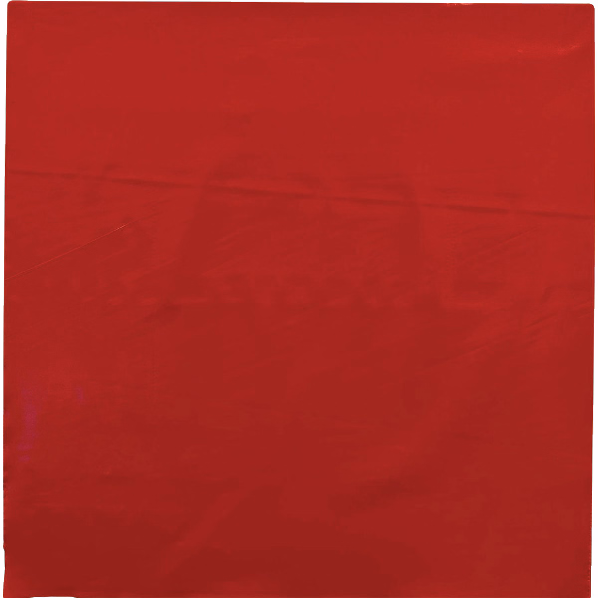 Hy-Ko 12 In. x 12 In. Red Tow Flag