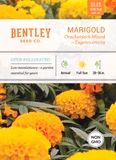 Marigold – Crackerjack Mixed Seed Pack