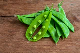 Peas – Oregon Sugar Snap Seed Pack